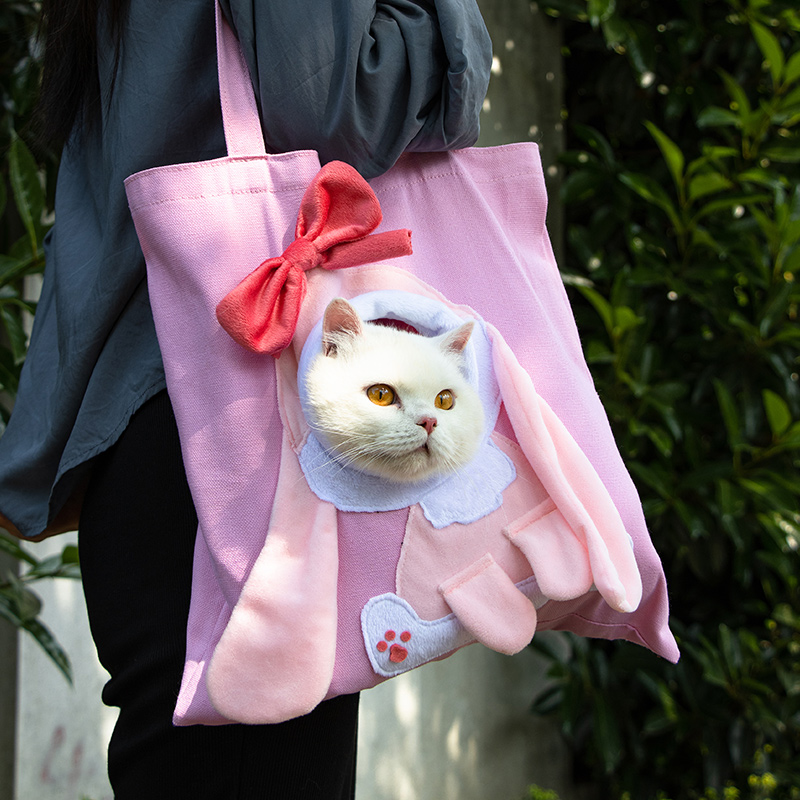 cat carrier