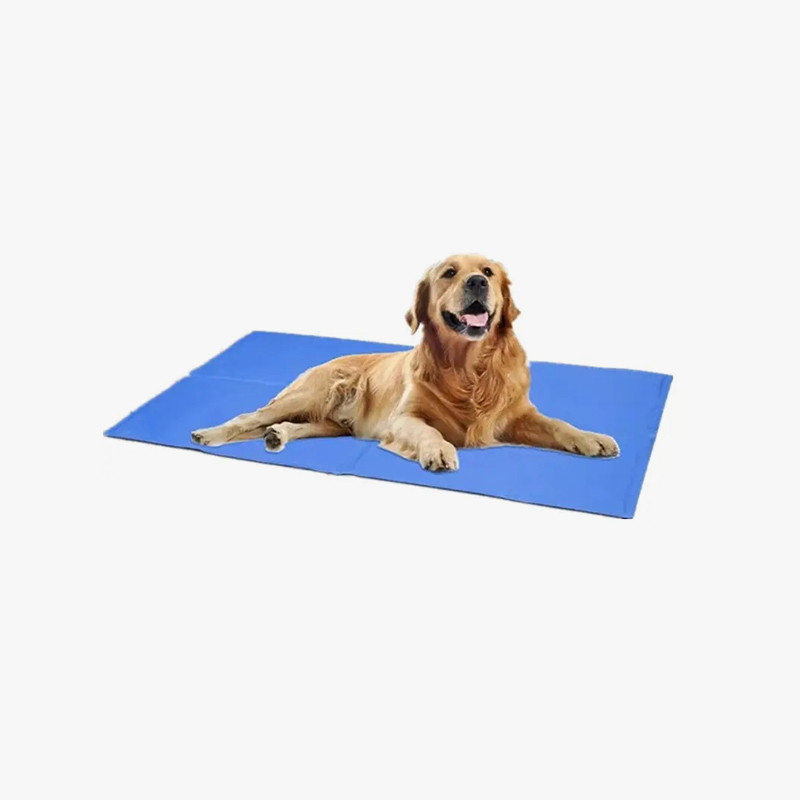 Ice cushion (blue)