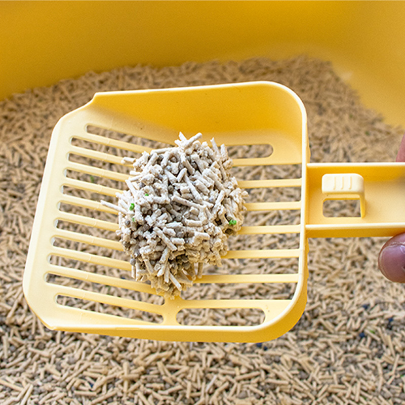 cat litter box