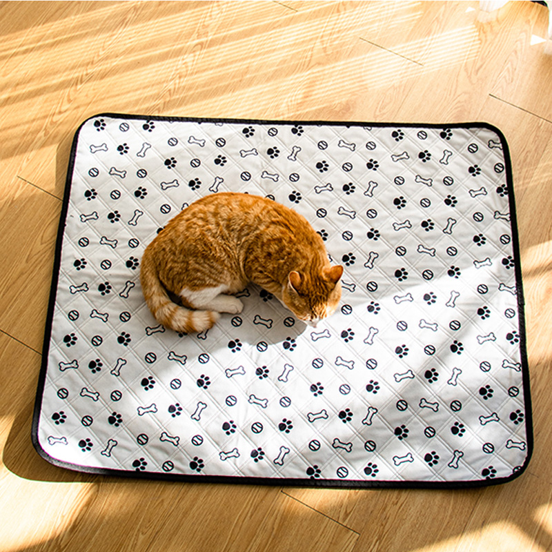 cat litter box