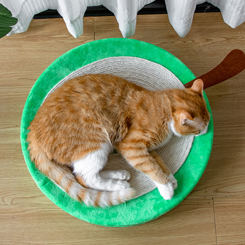 cat scratcher