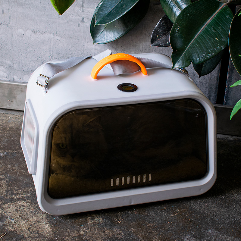 cat carrier